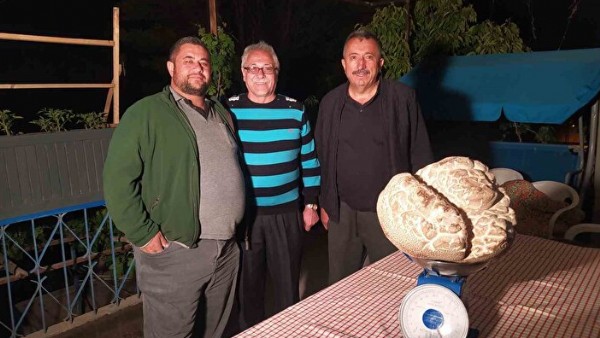 ‘Hayatımda ilk defa gördüm' dedi: Görenler gözlerine inanamadı